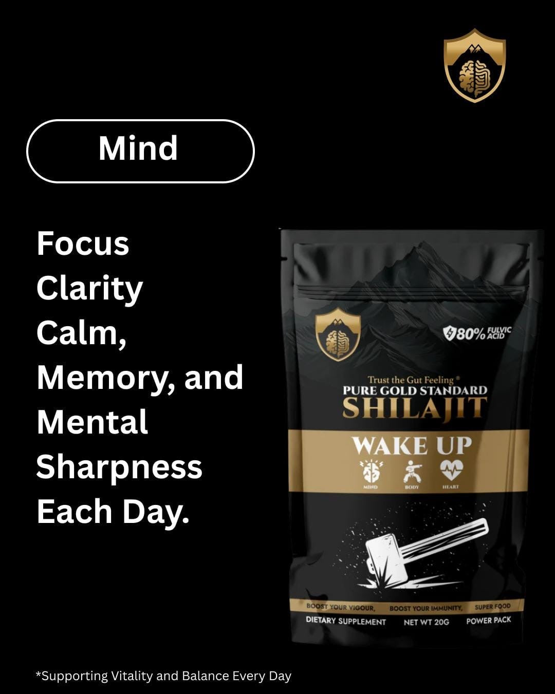 Pure Gold Shilajit 20g