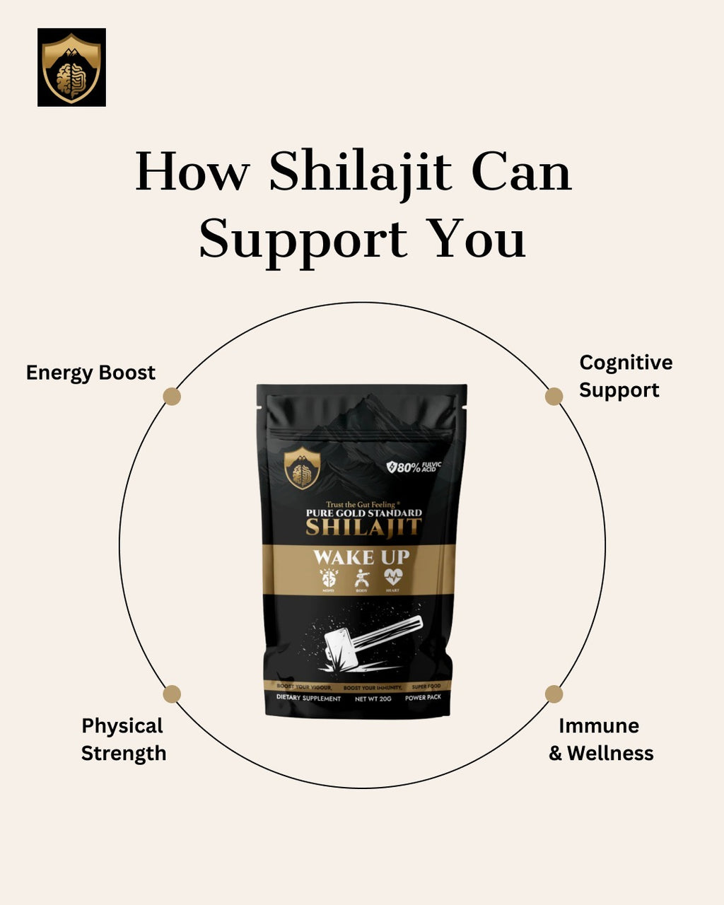 Pure Gold Shilajit 20g